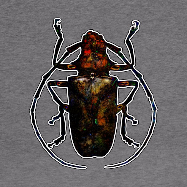 Dark Stone Beetle by crunchysqueak